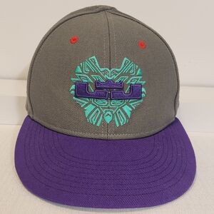 Nike True LeBron James/King James Logo Snapback (Adjustable) Hat Gray and Purple